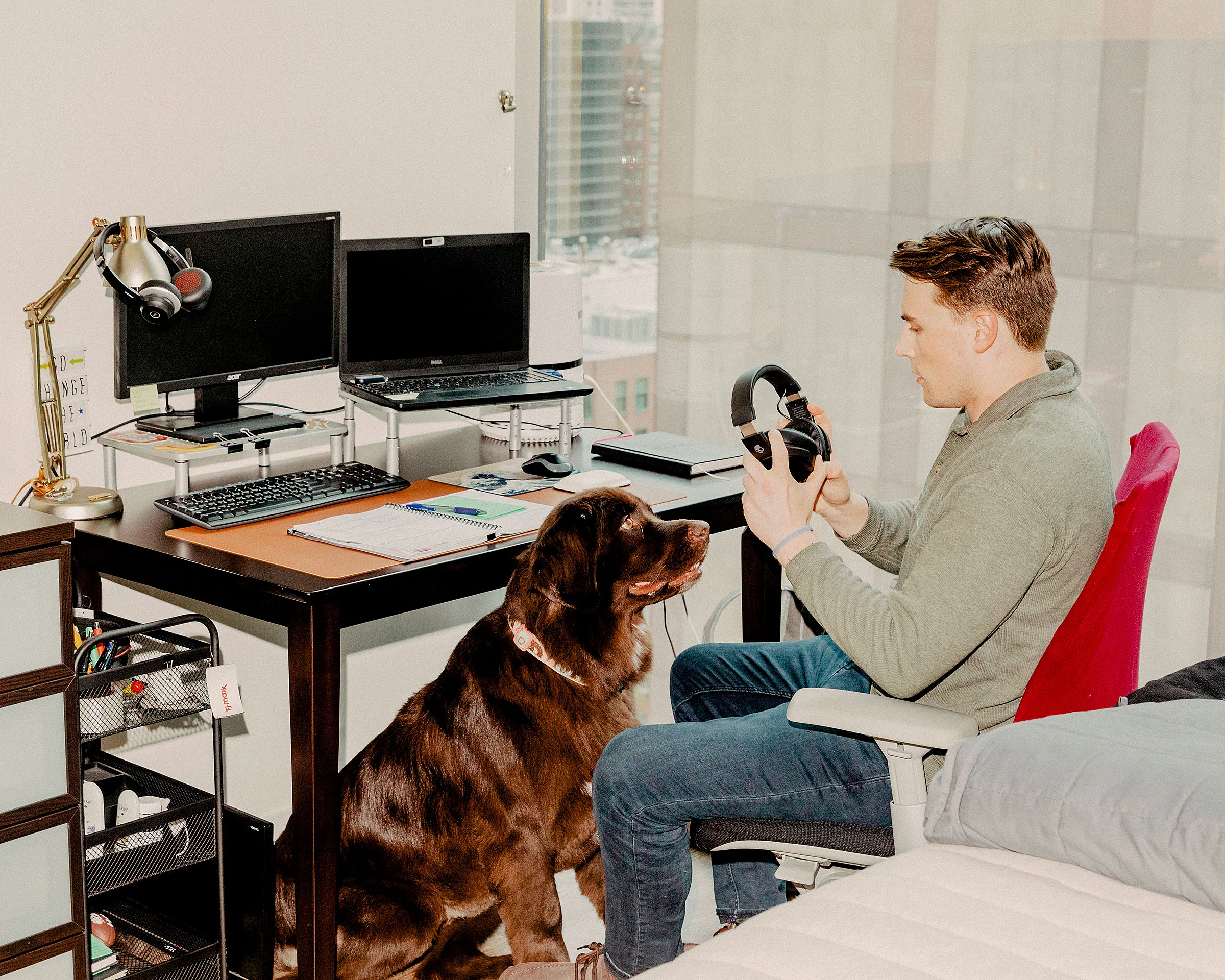 cohabiter-avec-son-animal-de-compagnie